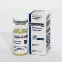 Nandrolone Decanoate - 10ml/250mg/ml - Somatrop-Lab