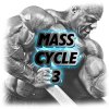 Mass 3