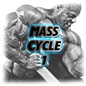 Mass 1