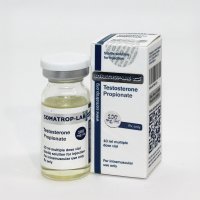Testosterone Propionate - 10ml/100mg/ml - Somatrop-Lab